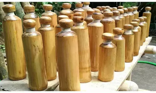 Bamboo Water Bottle: शुरू करें बांस की बोतल का बिजनेस, हर महीने होगी लाखो की कमाई, सरकार भी करेगी मदद, जानिए कैसे?