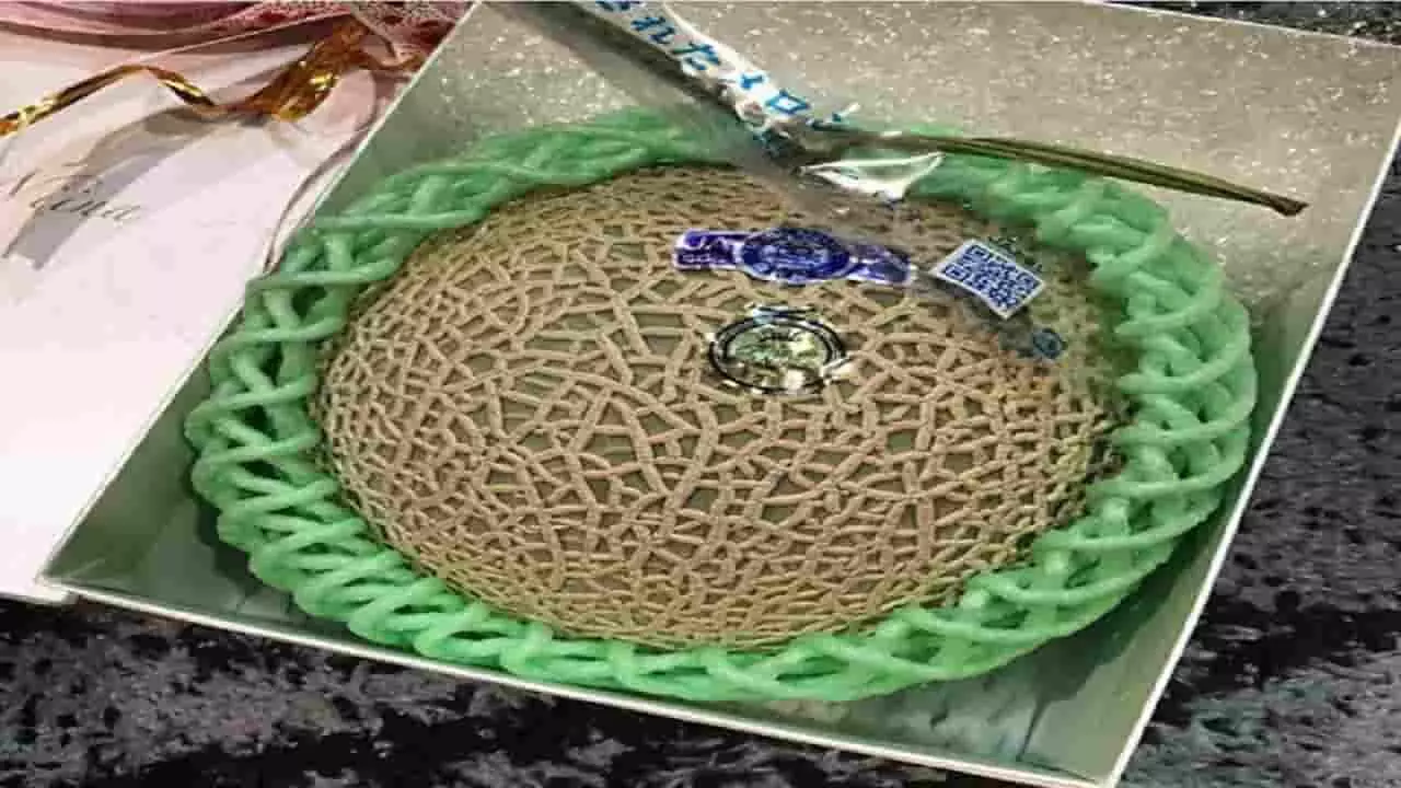 Most Expensive Fruit: क्या आपने कभी खाया है दुनिया का सबसे महंगा फल, एक किलो की कीमत 20 लाख रुपए है