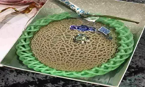 Most Expensive Fruit: क्या आपने कभी खाया है दुनिया का सबसे महंगा फल, एक किलो की कीमत 20 लाख रुपए है