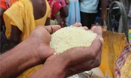 PM Garib Kalyan Yojana: आगे भी जारी रहेगी मुफ्त राशन योजना या नहीं? जानिए केंद्र सरकार ने क्या बताया...