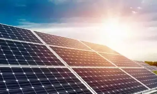 World Economic Forum Report: ग्रीन इकोनॉमी से देश के 5 करोड़ लोगों को मिलेगा रोजगार