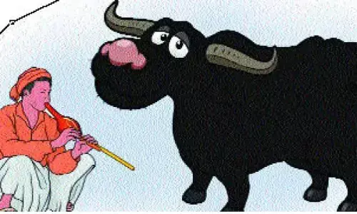 एमपी अजब है: भैसियां ने दूध देना बंद किया तो शख्स ने थाने में शिकायत कर डाली, पुलिस ने कार्रवाई भी कर दी