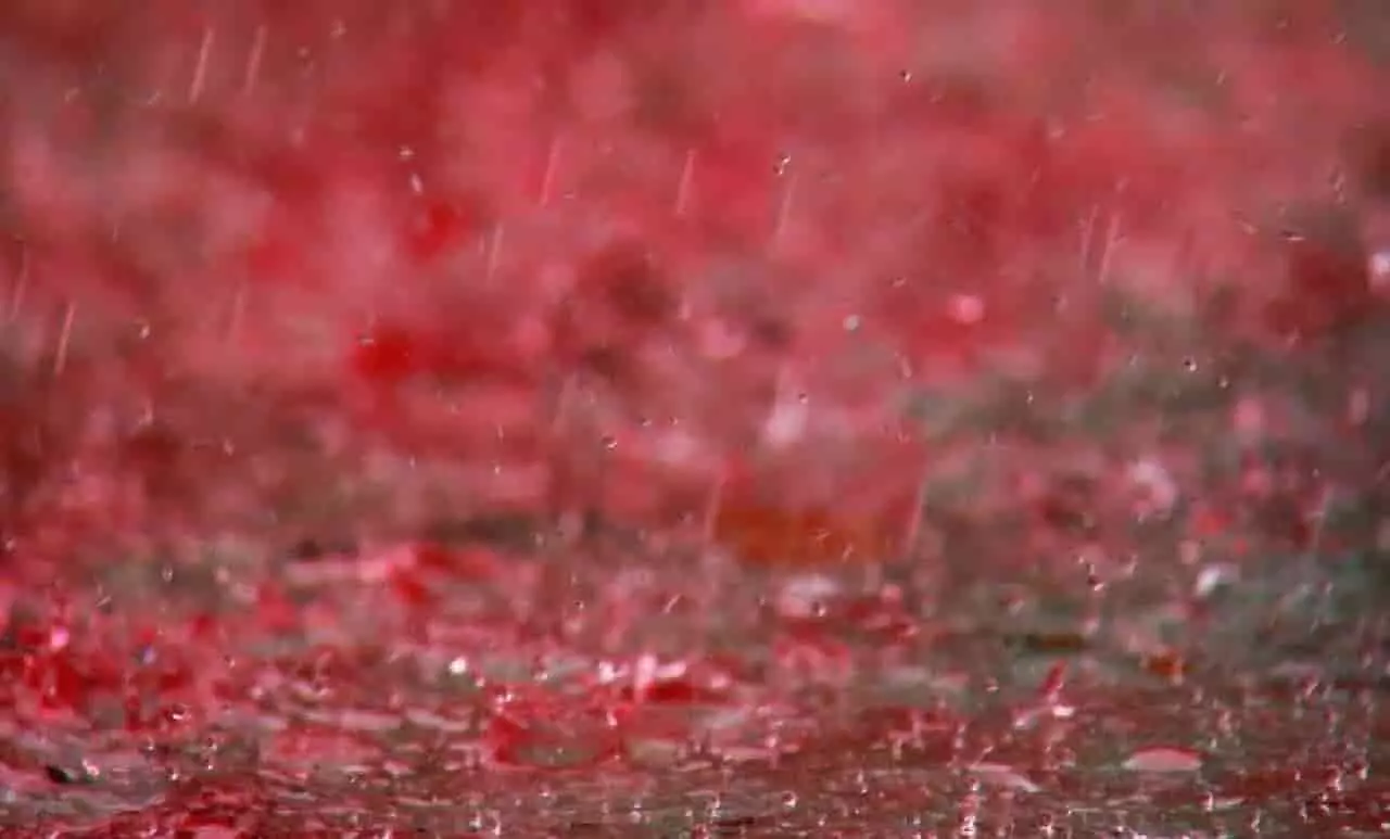 जब आसमान से बरसा खून, जानिए केरल की लाल बारिश का रहस्य.