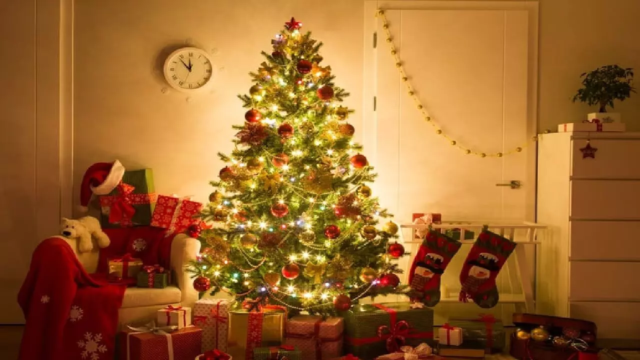 Christmas Holiday 2021: कहाँ जाएँ क्रिसमस की छुट्टियों में