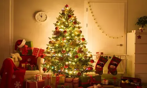 Christmas Holiday 2021: कहाँ जाएँ क्रिसमस की छुट्टियों में