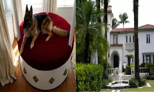 Gunther VI Worlds Richest Dog