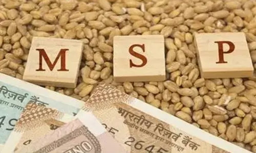 एमएसपी पर कांग्रेस और बीएसपी सांसदों के सवाल का सरकार ने दिया जवाब, किसान संगठन आंदोलन के मूड में