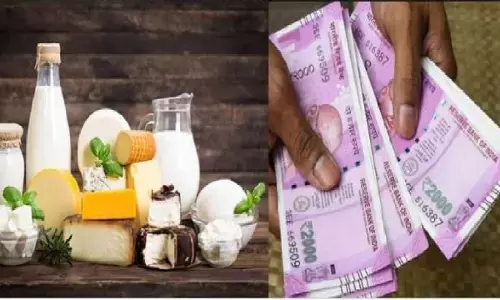 Dairy Product Business: नौकरी का टेंशन खत्म, शुरू करें डेयरी प्रोडक्ट्स का बिजनेस, हर महीने होगी लाखो रूपए की बरसात