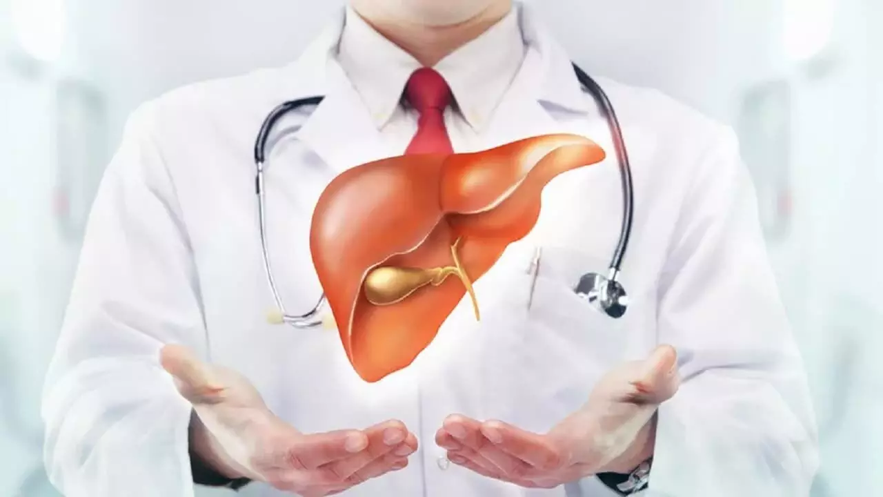 क्यों होता है फैटी लिवर? जानिये इसके लक्षण और बचाव के तरीके