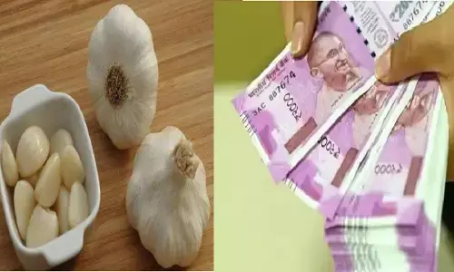 लहसुन का ये टोटका आपको पलभर में बना देगी करोड़पति, जानिए कैसे?