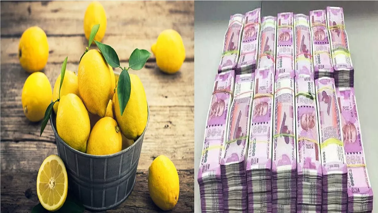 नीबू से करिए टोटका, घर बैठे पूरी जिंदगी गिनते रहिए पैसे, जानिए!