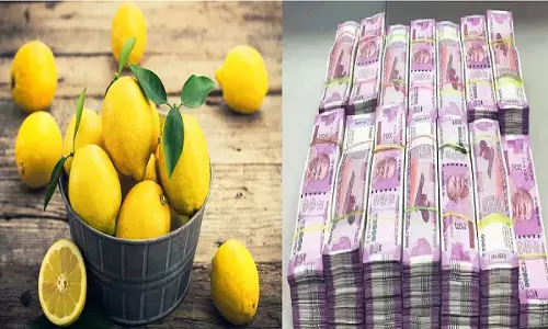 नीबू से करिए टोटका, घर बैठे पूरी जिंदगी गिनते रहिए पैसे, जानिए!