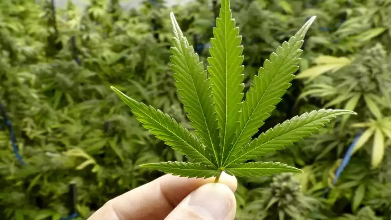 Jhansi Lalitpur highway Jhansi Lalitpur highway