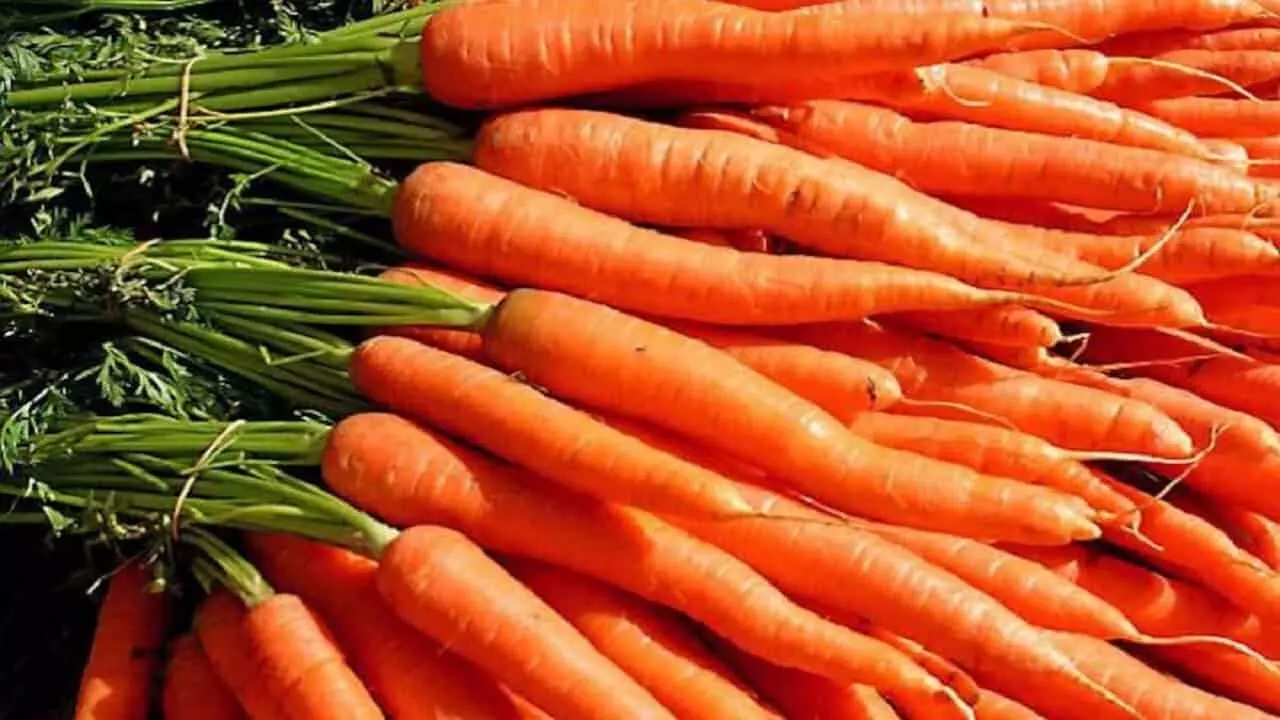 Health Benefits Of Carrot