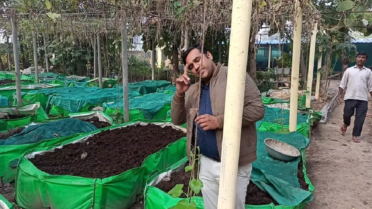 Organic Farming: लाख रूपये की नौकरी छोड़कर शुरू की यह खेती, साल भर में कमा रहे 1 करोड़ रूपये, जानिए! Organic Farming: लाख रूपये की नौकरी छोड़कर शुरू की यह खेती, साल भर में कमा रहे 1 करोड़ रूपये, जानिए!