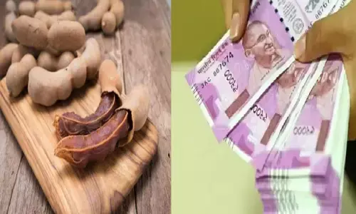 इमली के ये टोटके बना देंगे आपको करोड़पति, जानिए कैसे?