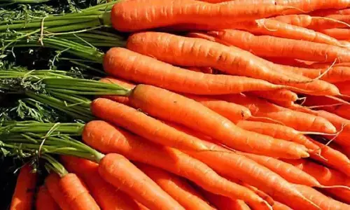 Health Benefits Of Carrot