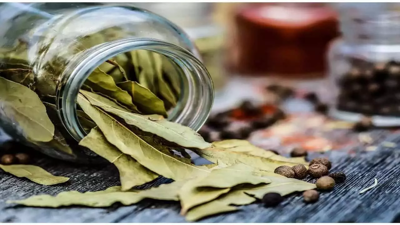 Profitable Farming Business