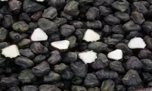 सर्दियों में हेल्थ के लिए खाए सिंघाड़ा, जो बचाये कई बीमारियों से..