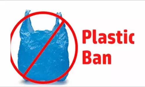 2022 से भारत में बैन होंगी ये चीज़ें, जानिए