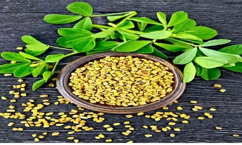 Fenugreek benefits: क्या आप जानते हैं छोटी सी मेथी के बड़े गुणों के बारे में? Fenugreek benefits: क्या आप जानते हैं छोटी सी मेथी के बड़े गुणों के बारे में?