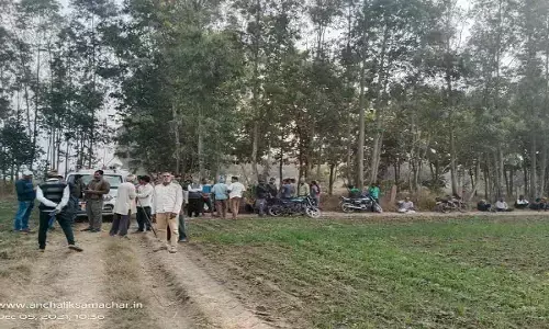 MP: बाघ की दहाड़ से दहल गए दो जिले, 4 घंटे के रेस्क्यू के बाद हाथ लगे वनराज