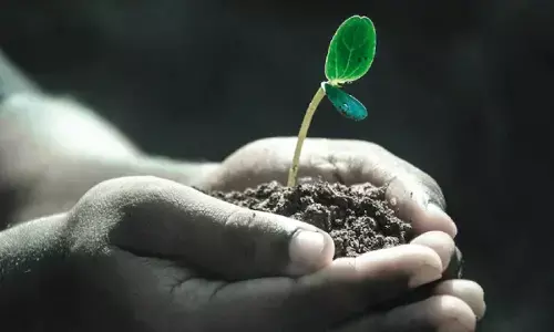 World Soil Day