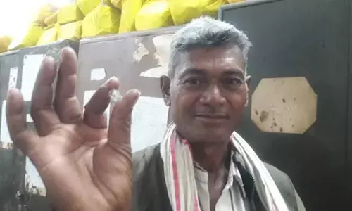 मुलायम को मिला बेशकीमती हीरा, पन्ना में एक साथ चार किसानों की चमकी किस्मत