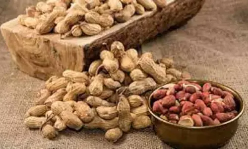 सर्दियों में ना करे ज्यादा मूंगफली का सेवन, हो सकते हैं ये साइड इफ़ेक्ट्स
