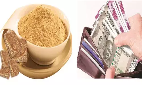 हींग का ये टोटका बना सकता है आपको मालामाल, जानिए कैसे?