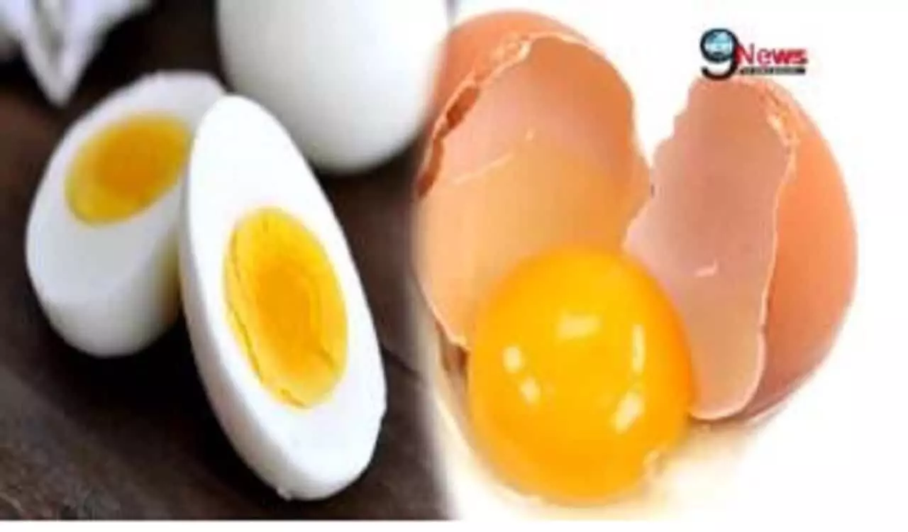 Health tips  : अंडे खाने के फायदे और नुकसान, जिससे आप सब है अनजान