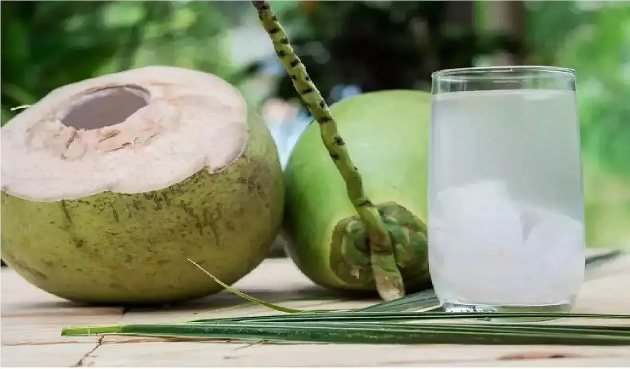Benefits of coconut water: नारियल पानी कब पिए जिससे हो अधिक फायदे