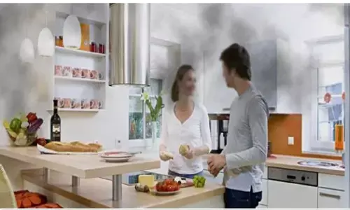 Indoor pollution : अगर घर में बढ़ रहा है प्रदूषण का स्तर तो उससे बचाव में अपनाएँ ये आसान टिप्स