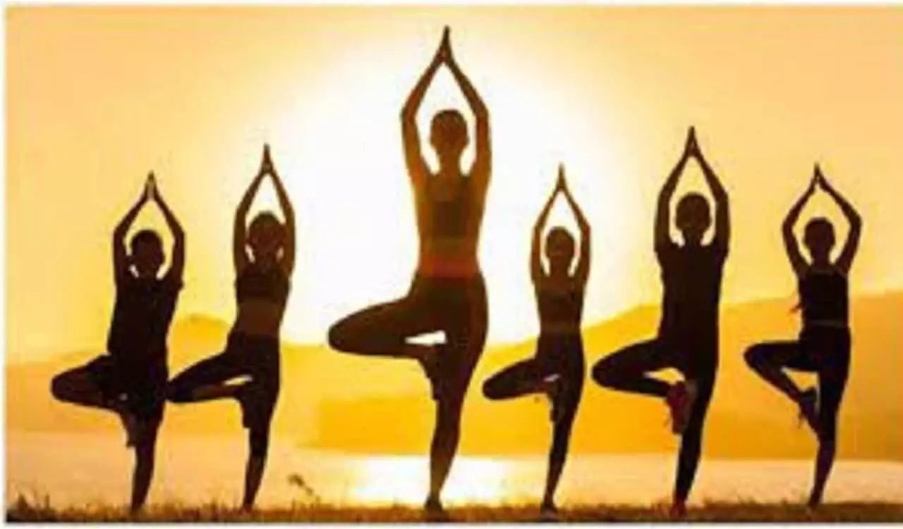 Yoga Tips: पेट और कमर की चर्बी को करना चाहते हैं दूर तो करें ये योगासन