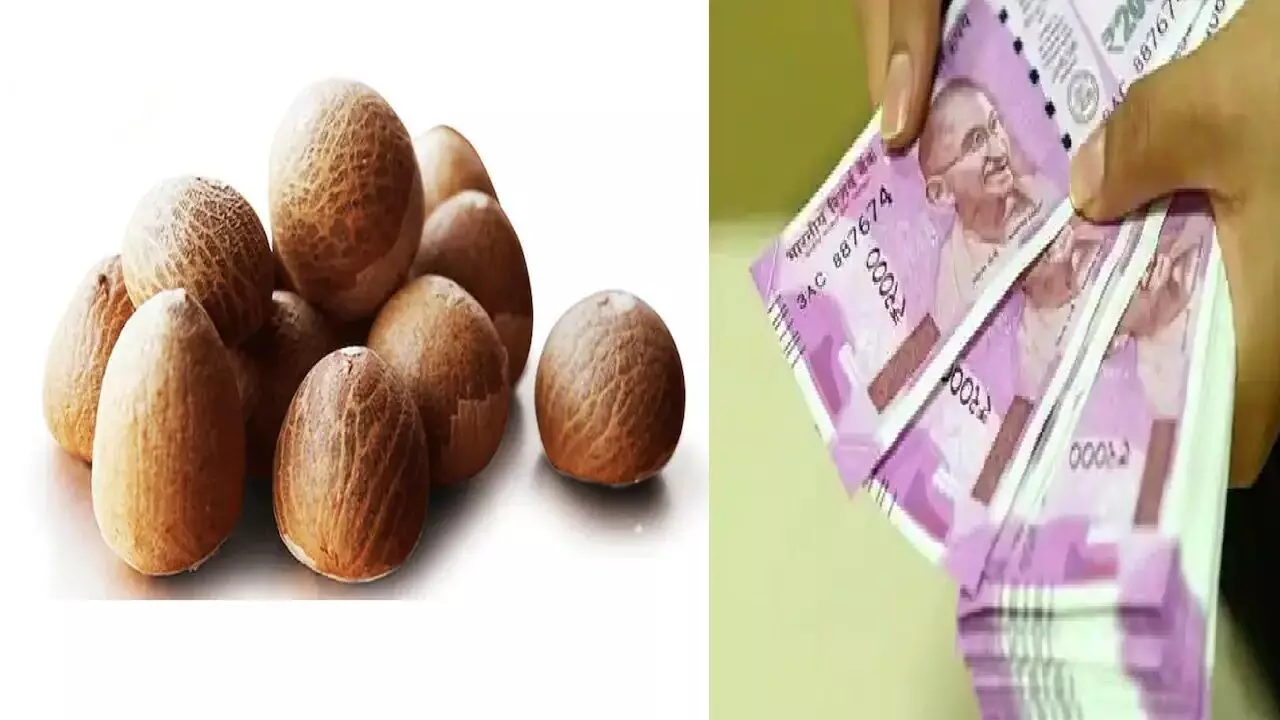 सुपारी का टोटका बनाएगा आपको मालामाल, हर बिगड़े काम होंगे पूरे, जानिए कैसे?