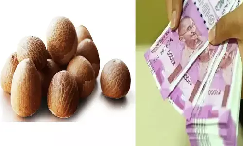 सुपारी का टोटका बनाएगा आपको मालामाल, हर बिगड़े काम होंगे पूरे, जानिए कैसे?