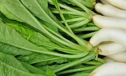 Radish leaf is beneficial reduces weight and heals liver