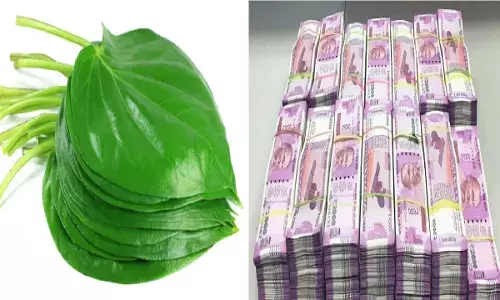 पान का ये टोटका बना देगा आपको मालामाल, पलभर में हो जाएगी अरबो-खरबो की संपत्ति, जानिए कैसे?