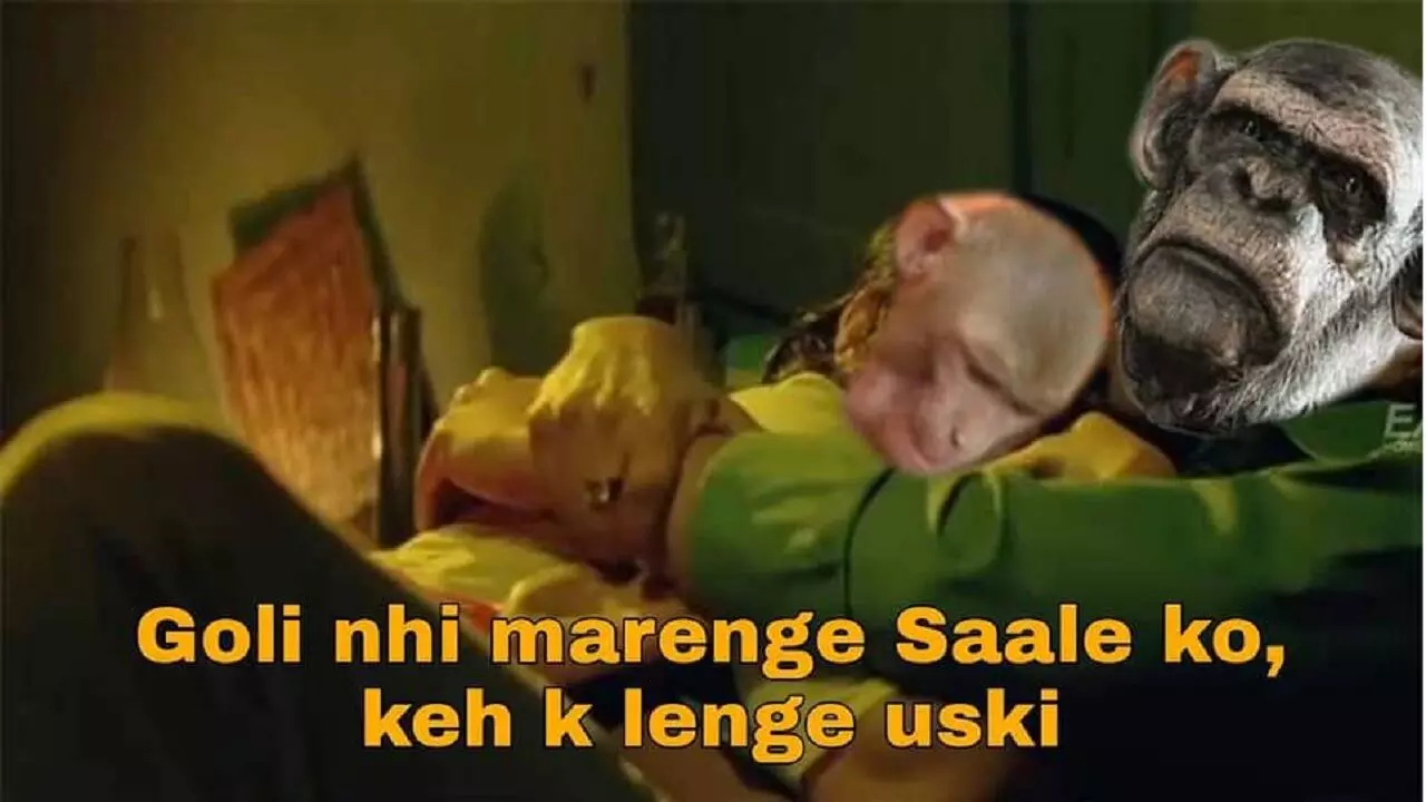 बंदरों ने 250 पिल्लों को छत से फेंक कर क्यों मार डाला, डॉगी और मंकी छिड़ी जंग डराने  वाली है