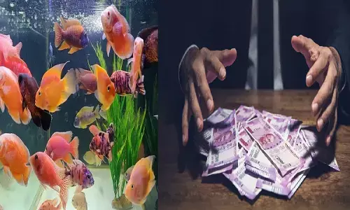 Good Luck Charm: इस तरह जगाएं रूठी किसमत, घर में फिश एक्वैरियम रखने से हो जायेंगे मालामाल, करना होगा बस ये काम