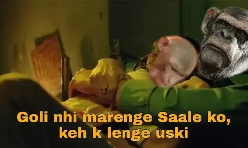 बंदरों ने 250 पिल्लों को छत से फेंक कर क्यों मार डाला, डॉगी और मंकी छिड़ी जंग डराने  वाली है