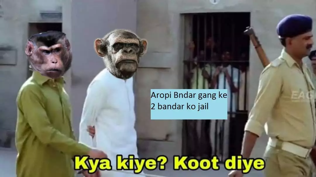 Doge vs Monkey Update: पिल्लों की हत्या करने वाले आरोपी बंदर अरेस्ट, डॉगीयों को मिला सुकून