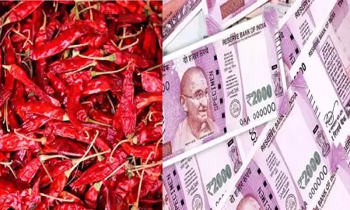 लाल मिर्च से करे टोटका, हो जायेंगे मालामाल, होगी पैसो की बारिश, शत्रु होंगे परास्त, जानिए!