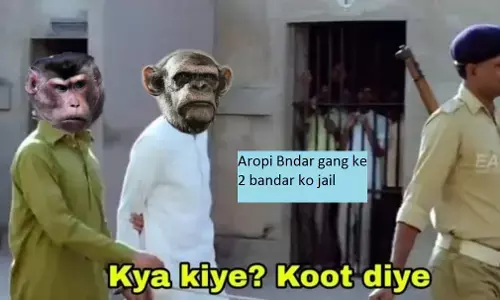 Doge vs Monkey Update: पिल्लों की हत्या करने वाले आरोपी बंदर अरेस्ट, डॉगीयों को मिला सुकून