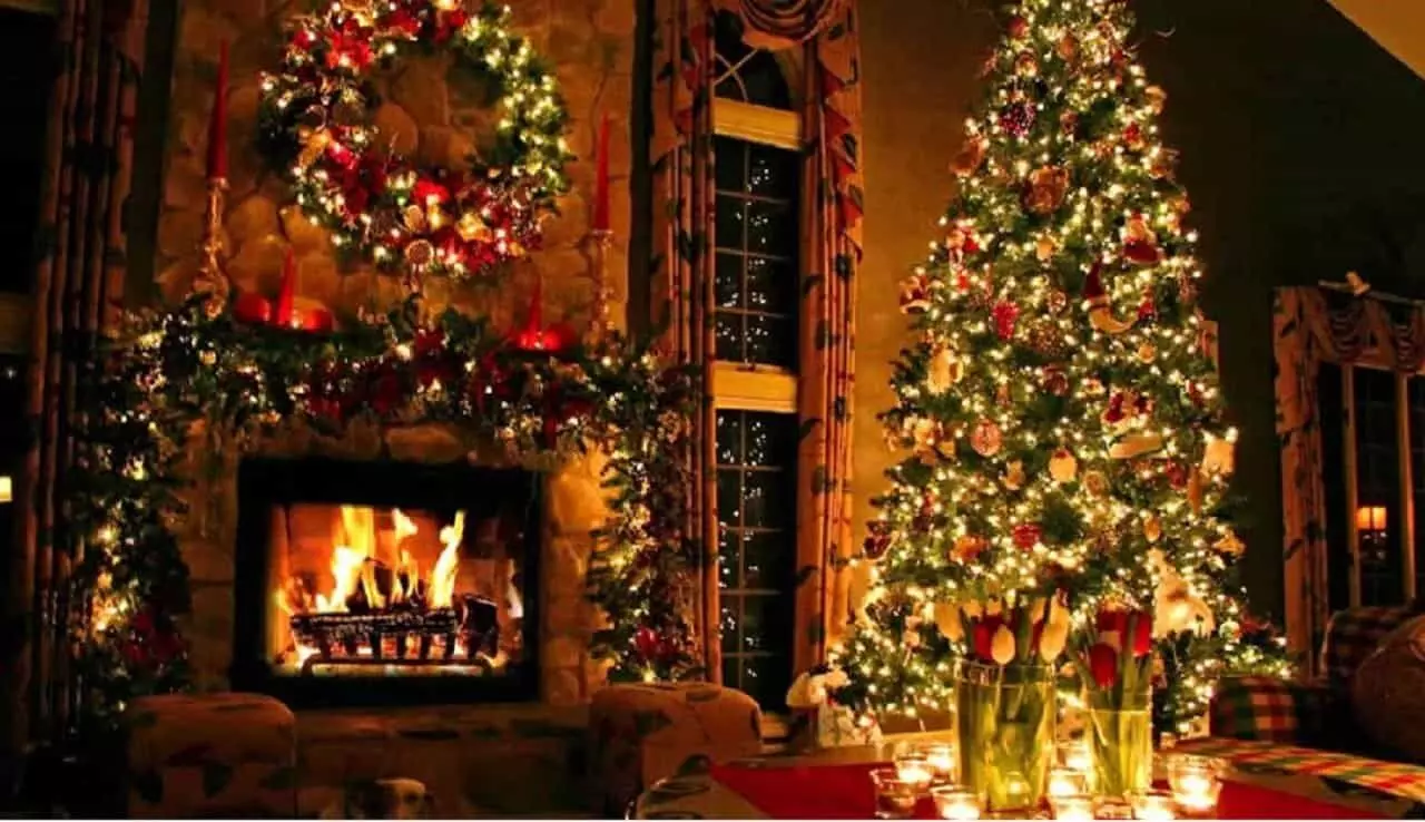 Vastu Tips: क्रिसमस ट्री को रखे इस दिशा में, नकारात्मक ऊर्जा को करें दूर