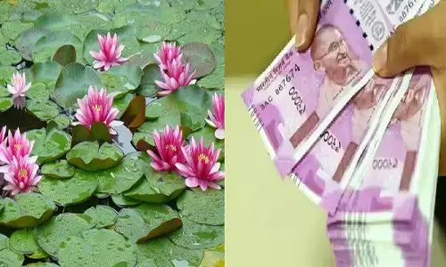 कमल का फूल करेगा आपको मालामाल, बना देगा करोड़पति, हर जगह होगी पैसो की बारिश, हर जगह होगी संपत्ति ही संपत्ति