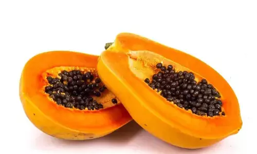 Papaya Side Effects Papaya Side Effects