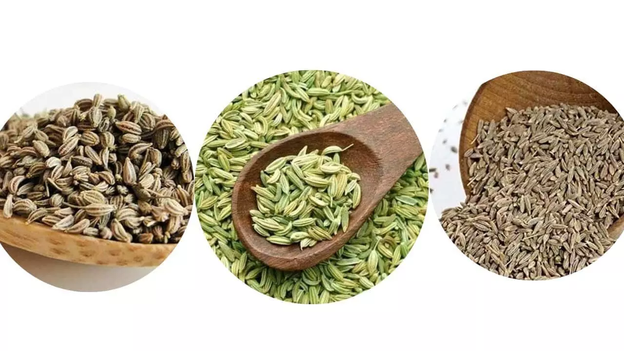 If you consume a mixture of fennel, cumin and carom seeds, there will be many benefits
