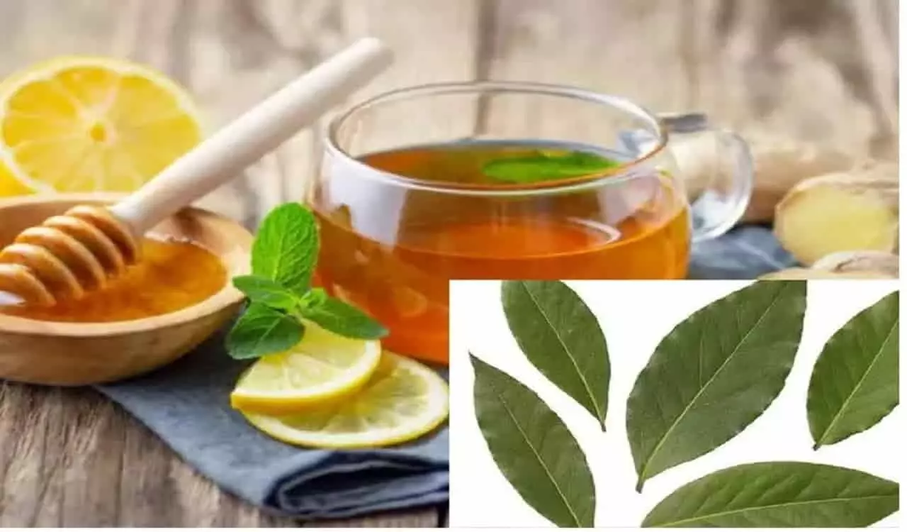 Herbal Tea Benefits: सर्दियों में मसालेदार चाय का करें सेवन, रखे बॉडी को फिट
