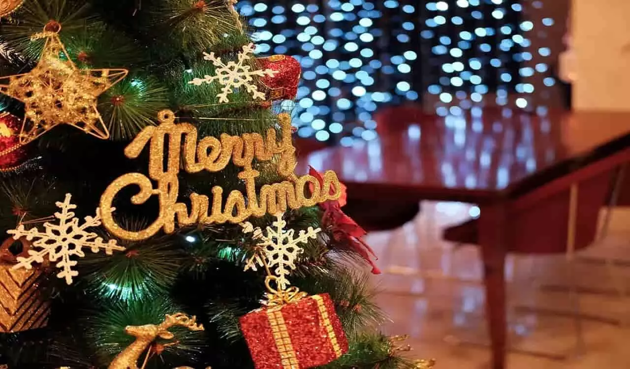 Christmas Holidays: क्रिसमस के दौरान घूमने के लिए जाएँ रोमांचक जगह